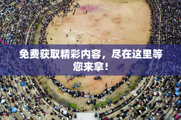 免费获取精彩内容，尽在这里等您来拿！