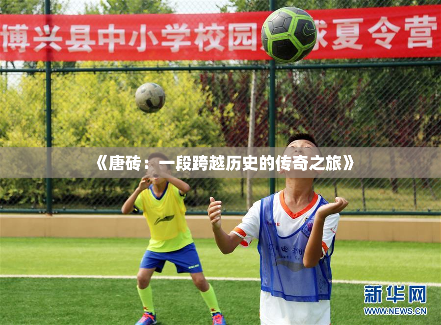《唐砖：一段跨越历史的传奇之旅》