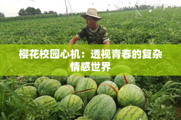 樱花校园心机：透视青春的复杂情感世界