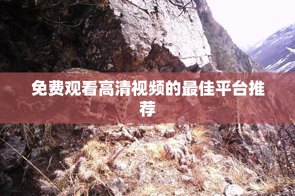 免费观看高清视频的最佳平台推荐