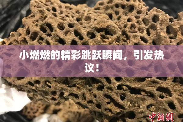 小燃燃的精彩跳跃瞬间，引发热议！