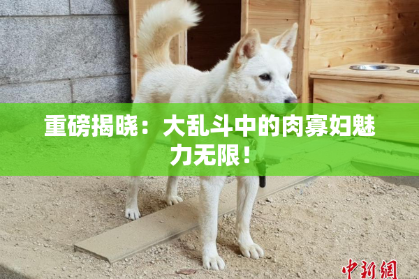 重磅揭晓：大乱斗中的肉寡妇魅力无限！