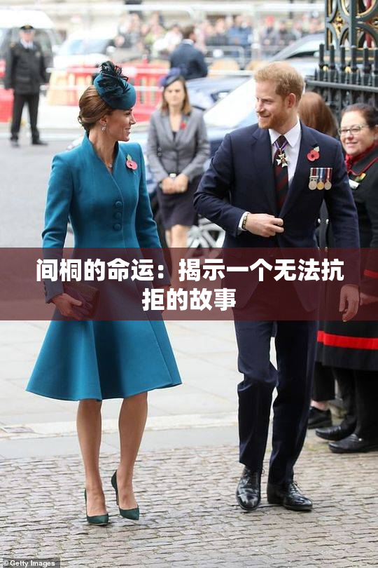 间桐的命运：揭示一个无法抗拒的故事