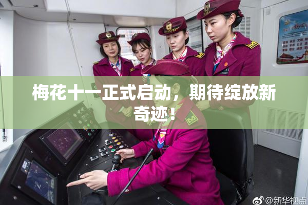 梅花十一正式启动，期待绽放新奇迹！