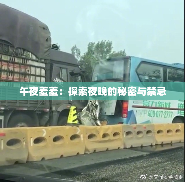 午夜羞羞：探索夜晚的秘密与禁忌