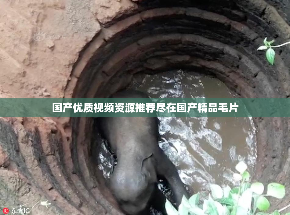 国产优质视频资源推荐尽在国产精品毛片