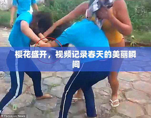 樱花盛开，视频记录春天的美丽瞬间