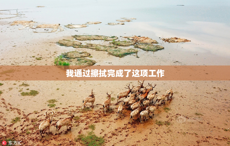 我通过擦拭完成了这项工作