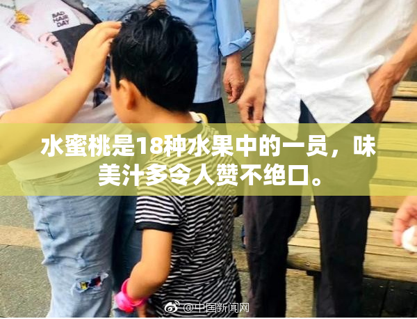 水蜜桃是18种水果中的一员，味美汁多令人赞不绝口。