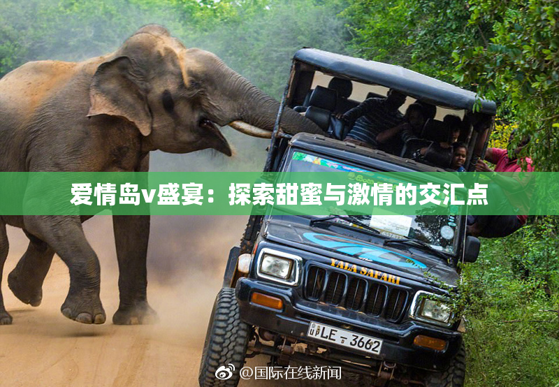 爱情岛v盛宴：探索甜蜜与激情的交汇点