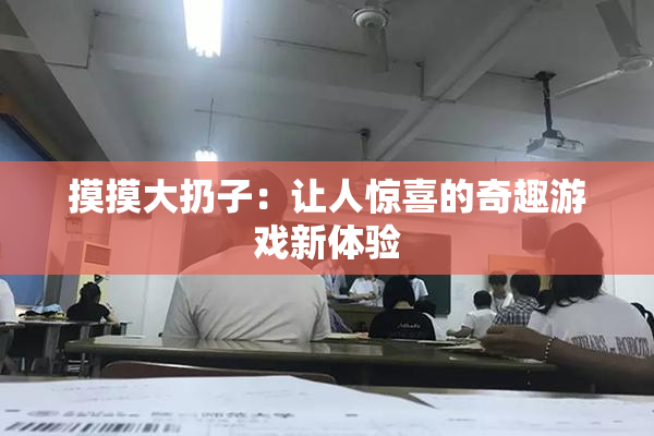 摸摸大扔子：让人惊喜的奇趣游戏新体验