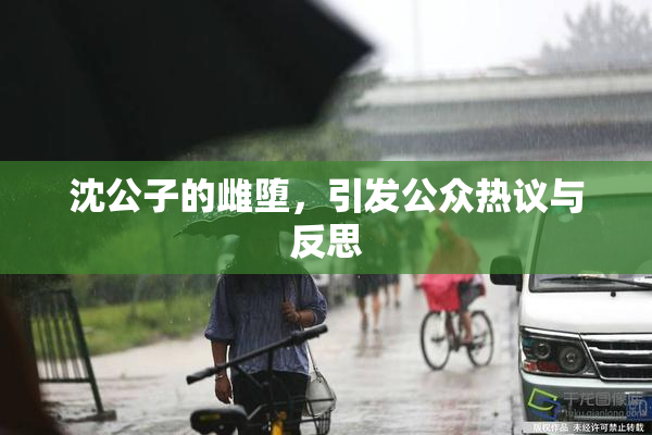 沈公子的雌堕，引发公众热议与反思