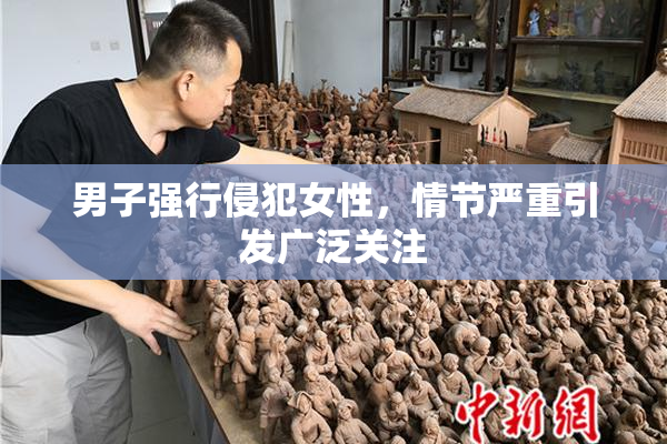 男子强行侵犯女性，情节严重引发广泛关注