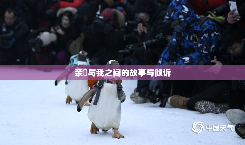 亲妺与我之间的故事与倾诉