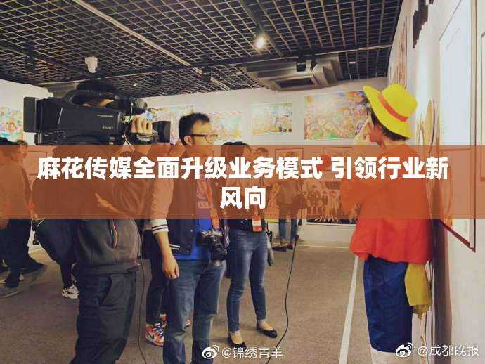 麻花传媒全面升级业务模式 引领行业新风向