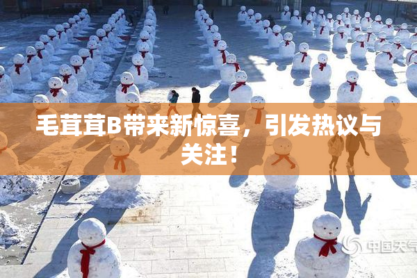 毛茸茸B带来新惊喜，引发热议与关注！