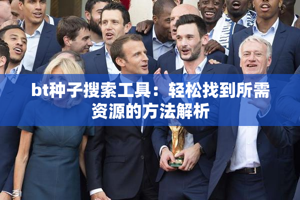 bt种子搜索工具：轻松找到所需资源的方法解析