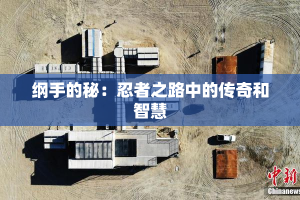 纲手的秘：忍者之路中的传奇和智慧