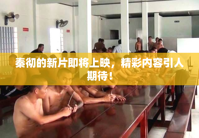 秦彻的新片即将上映，精彩内容引人期待！