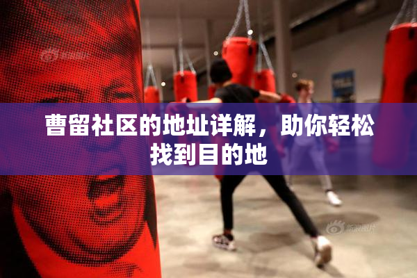 曹留社区的地址详解，助你轻松找到目的地