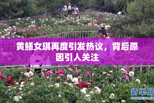 黄鳝女琪再度引发热议，背后原因引人关注