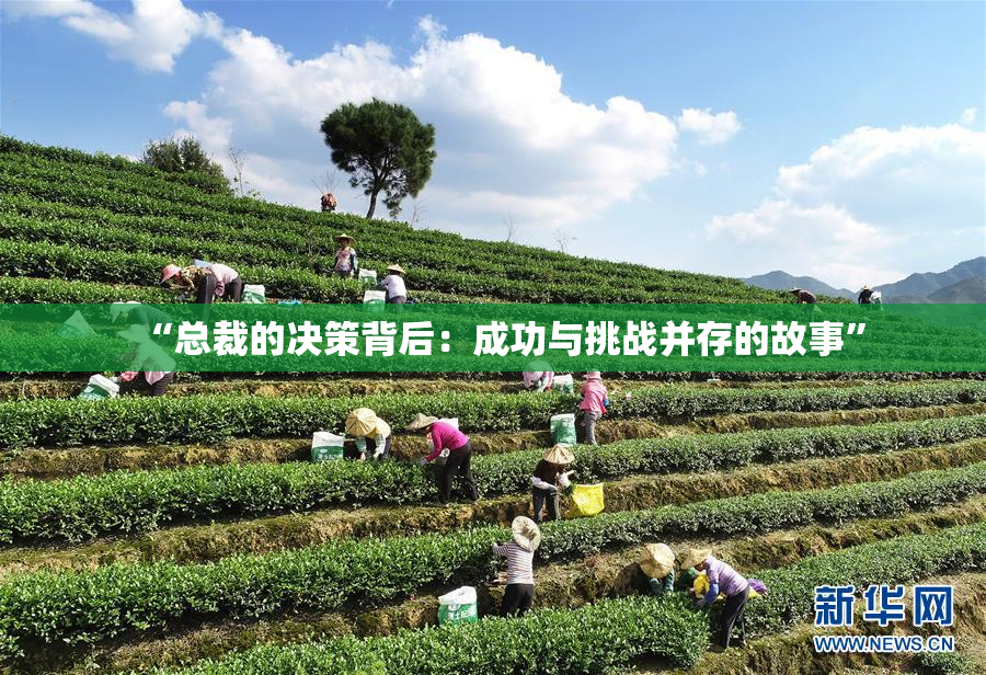 “总裁的决策背后：成功与挑战并存的故事”