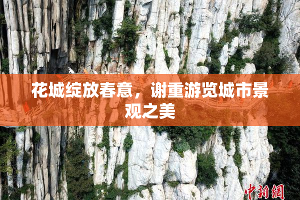 花城绽放春意，谢重游览城市景观之美