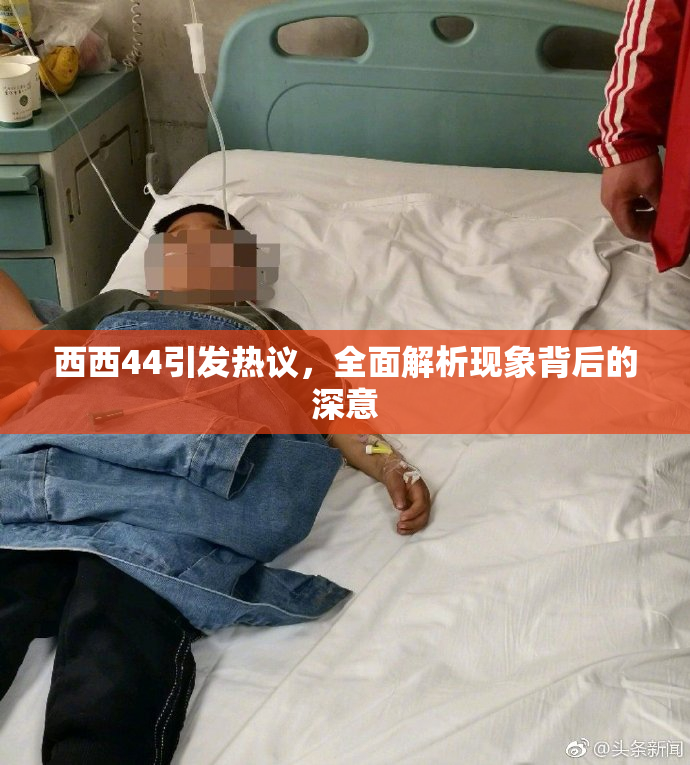 西西44引发热议，全面解析现象背后的深意