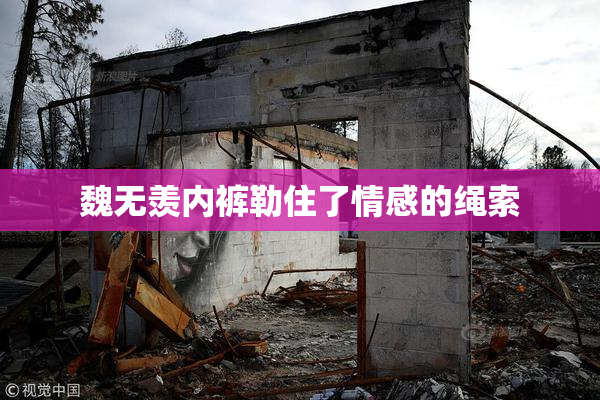 魏无羡内裤勒住了情感的绳索