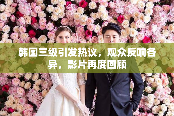 韩国三级引发热议，观众反响各异，影片再度回顾