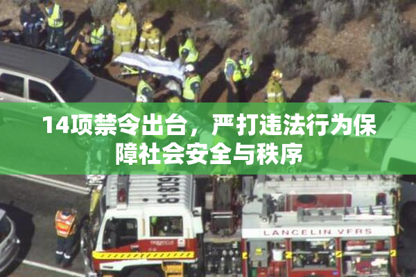 14项禁令出台，严打违法行为保障社会安全与秩序