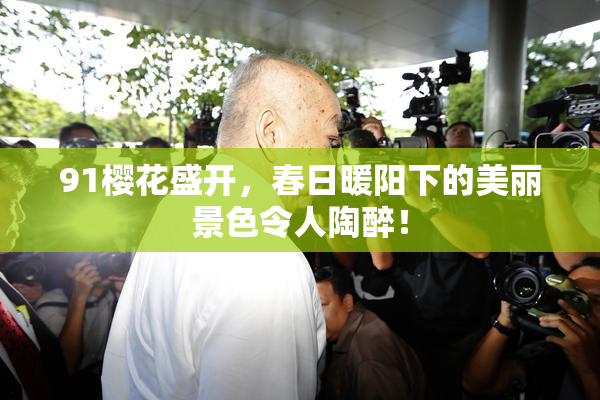 91樱花盛开，春日暖阳下的美丽景色令人陶醉！