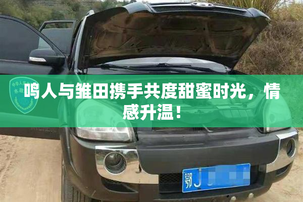 鸣人与雏田携手共度甜蜜时光，情感升温！