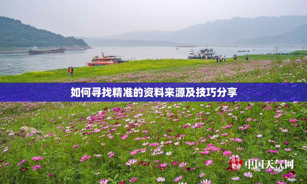 如何寻找精准的资料来源及技巧分享