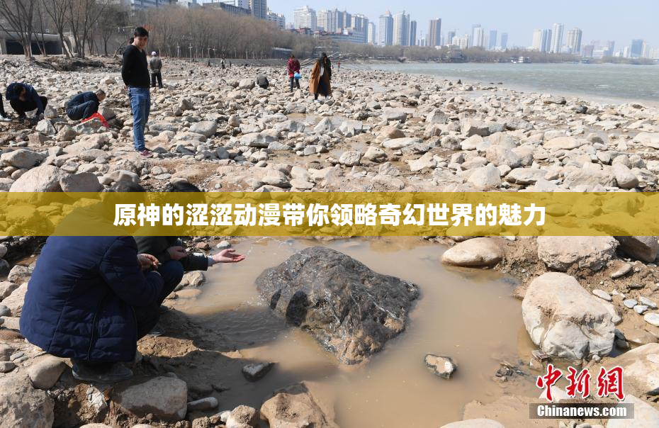 原神的涩涩动漫带你领略奇幻世界的魅力