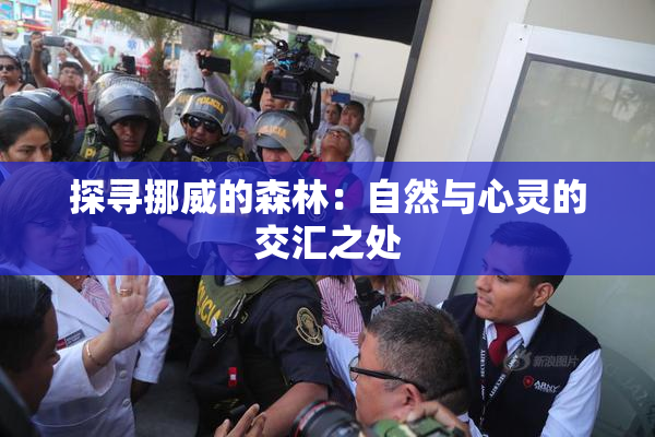 探寻挪威的森林：自然与心灵的交汇之处