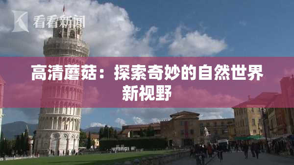 高清蘑菇：探索奇妙的自然世界新视野