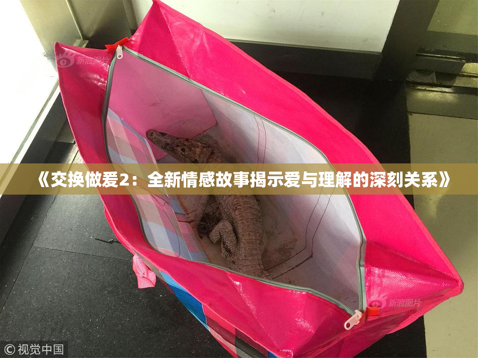 《交换做爰2：全新情感故事揭示爱与理解的深刻关系》
