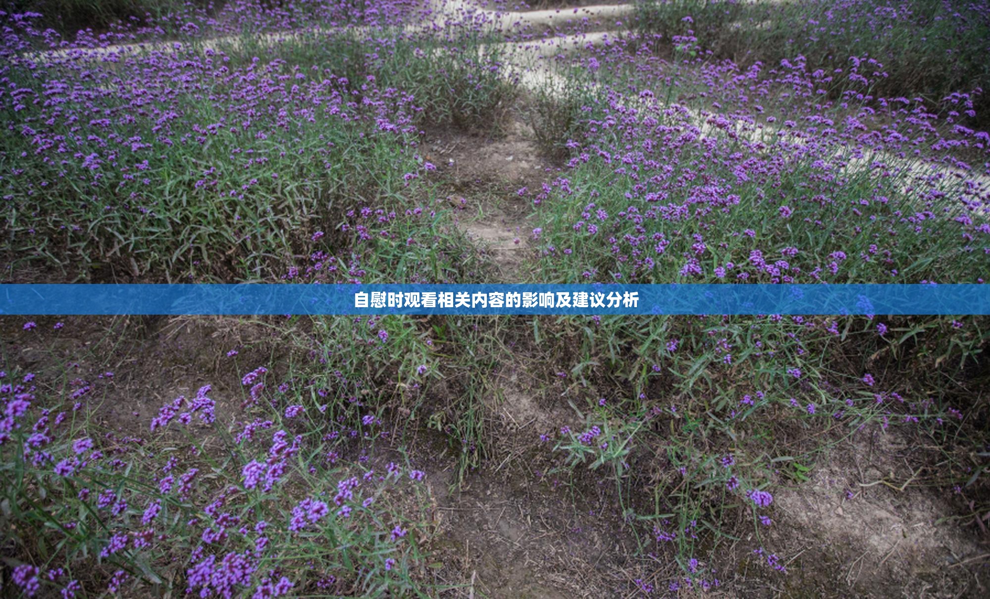 自慰时观看相关内容的影响及建议分析