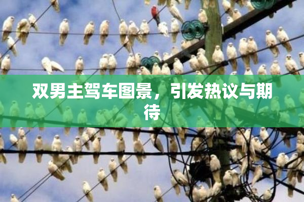 双男主驾车图景，引发热议与期待