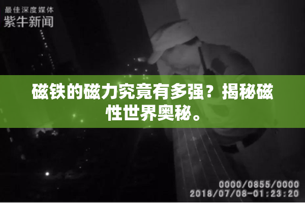 磁铁的磁力究竟有多强？揭秘磁性世界奥秘。