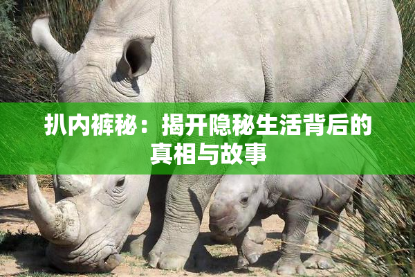 扒内裤秘：揭开隐秘生活背后的真相与故事