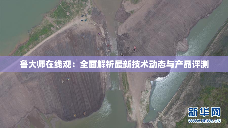 鲁大师在线观：全面解析最新技术动态与产品评测