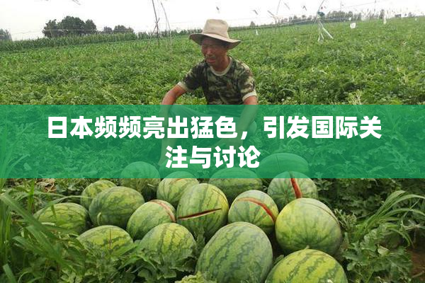 日本频频亮出猛色，引发国际关注与讨论