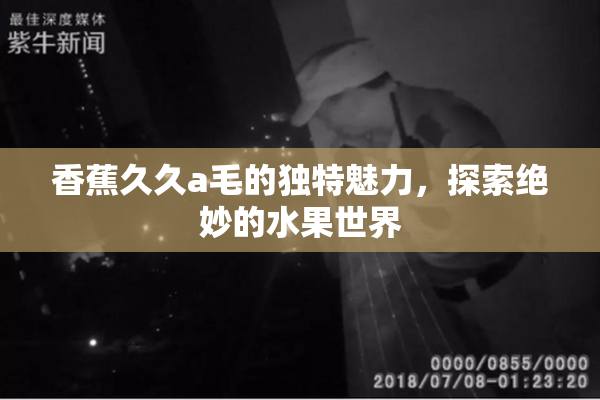 香蕉久久a毛的独特魅力，探索绝妙的水果世界