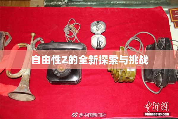 自由性Z的全新探索与挑战