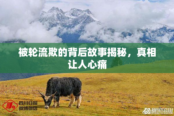 被轮流欺的背后故事揭秘，真相让人心痛