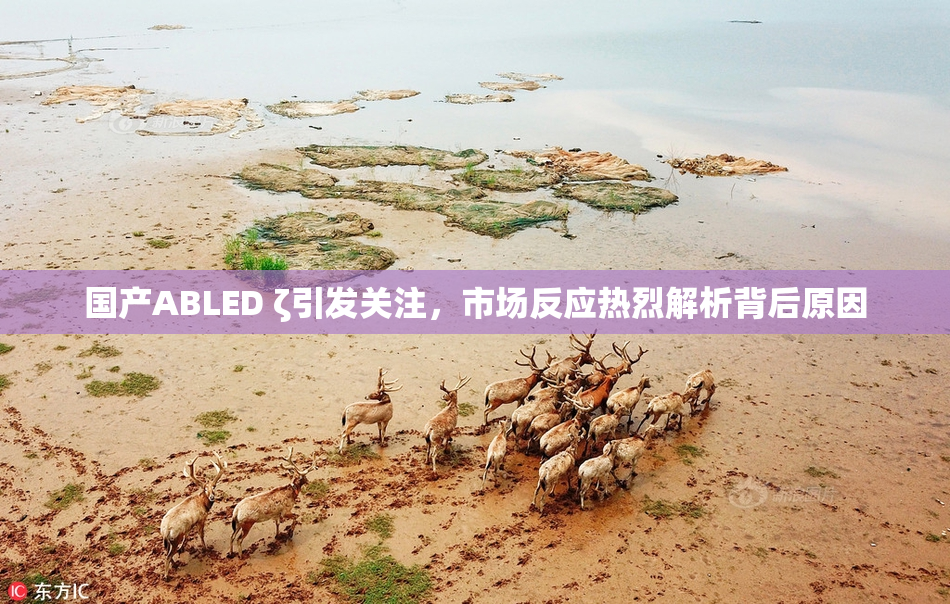 国产ABLED ζ引发关注，市场反应热烈解析背后原因