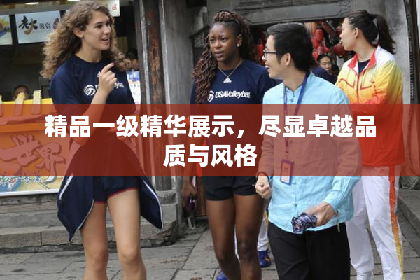 精品一级精华展示，尽显卓越品质与风格