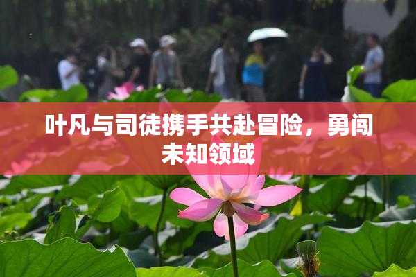 叶凡与司徒携手共赴冒险，勇闯未知领域